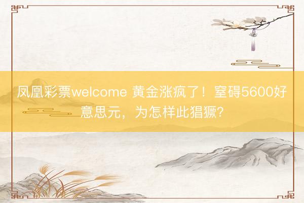 凤凰彩票welcome 黄金涨疯了!窒碍5600好意思元,为怎样此猖獗?