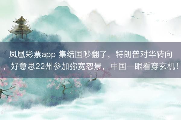 凤凰彩票app 集结国吵翻了,特朗普对华转向,好意思22州参加弥宽恕景,中国一眼看穿玄机!